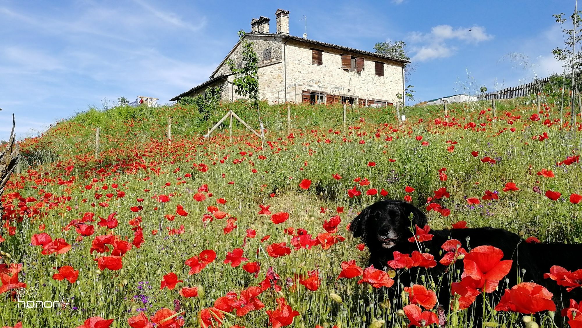 Casale Le Orme Bed & Breakfast Тоди Екстериор снимка